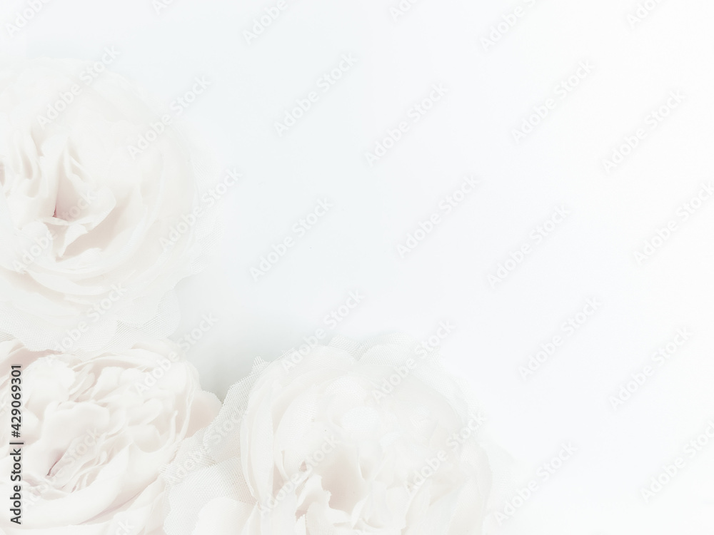 Lymph Background